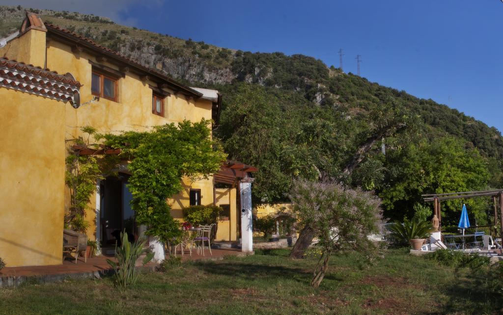 מראטיאה B&B Calandrella מראה חיצוני תמונה