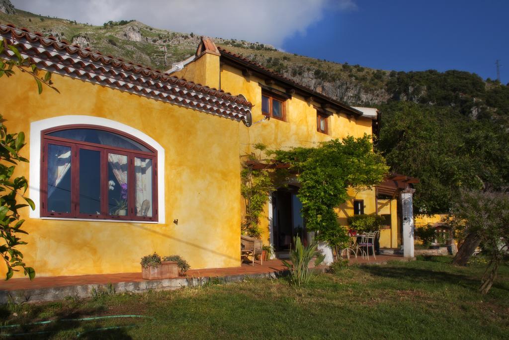 מראטיאה B&B Calandrella חדר תמונה